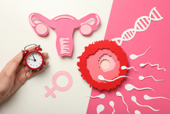 Ovulation Induction